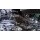 In poza se vede si spatele placii mele video, un EVGA GTX 970.