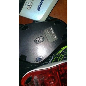mousii nealimentati se vede sistemul optic care este similar - Optic