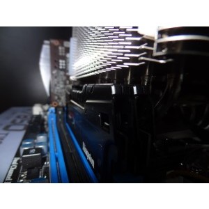 noctua 5
