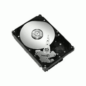Maxtor 80GB SATA-II 7200RPM 2MB DiamondMax 21