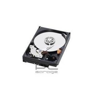 WD 750 GB SATA-II 16 MB 5400-7200 RPM Caviar Green Power