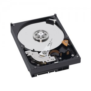 WD 250 GB SATA-II 7200 RPM 8 MB