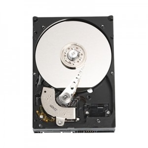 WD 160GB SATA-II 7200 rpm 16MB RE2