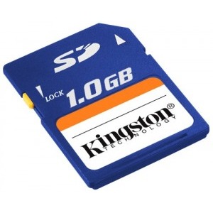 Kingston Secure Digital 1GB Standard