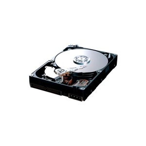 Samsung 320 GB SATA-II 7200RPM 8MB NCQ SpinPoint T Series
