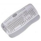 Chicony KBP-0350 White
