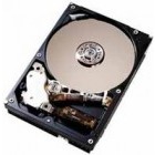Maxtor 250 GB ATA 133 7200 rpm 16 MB DiamondMax Plus 10