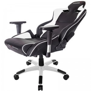 AKRACING ProX Black/White