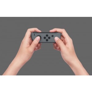 Nintendo Switch Gray Joy-Con