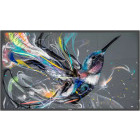 Monitor LED Philips Q-Line 43BDL3511Q 42.5 inch UHD IPS 8 ms 60 Hz
