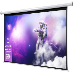 Celexon Basic Line Electric 4:3 230 x 172 cm