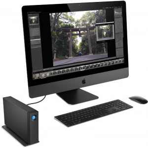 LaCie d2 Professional 4TB USB C Black