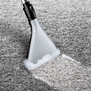 Bosch BWD421PET, cu spalare, 2100W, 2.5L, Rosu