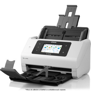Epson WorkForce DS-900WN