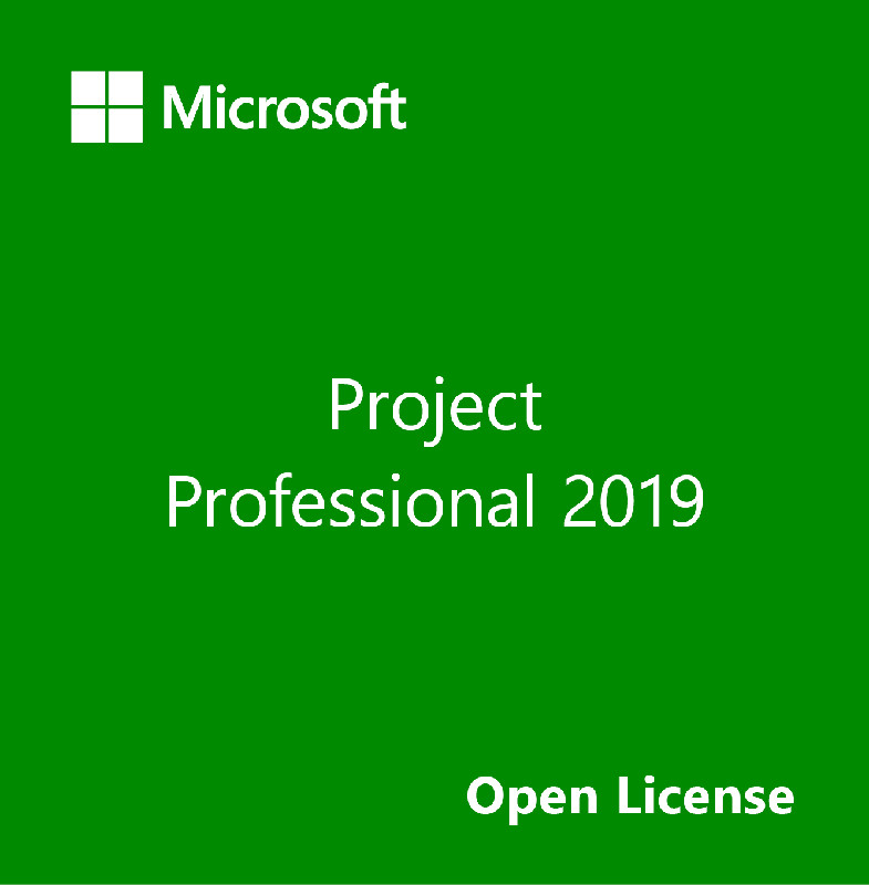 Aplicatie Microsoft Licenta Electronica Project Professional 2019, Single Language, OLP NL