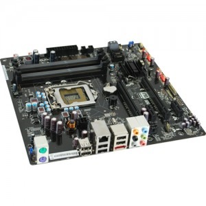 EVGA P55V