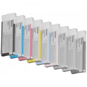 Epson Cartus T606100 Photo Black