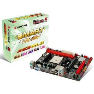 Biostar A55ML2