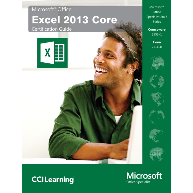 microsoft office excel 2013 book
