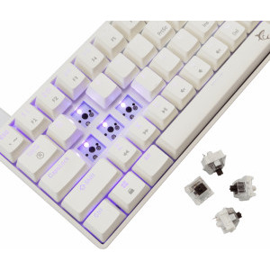 White Shark SHINOBI v2 Outemu Brown Switch Mecanica White