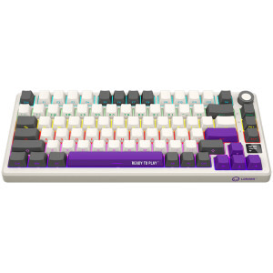 LORGAR KBP7075W Pro TKL RGB Toxic Purple Linear Switch Beige Mecanica