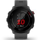 SmartWatch Garmin Forerunner 55 GPS Monterra Grey