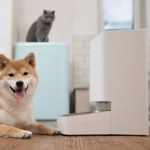 Xiaomi Dozator automat mancare animale de companie Smart Pet Food Feeder, bol otel inoxidabil 304