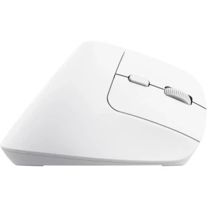 Trust Bayo+ Ergonomic, Silent click, Reincarcabil USB-C, Bluetooth + 2.4 GHz, White