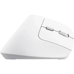 Trust Bayo II, Wireless Ergonomic, Silent click, Reincarcabil USB-C, White