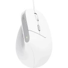 Mouse Trust Bayo II, Ergonomic, Silent click, White