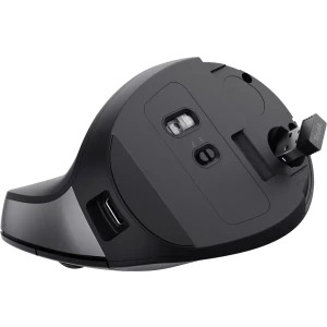 Trust Bayo II, Wireless Ergonomic, Silent click, Reincarcabil USB-C, Black