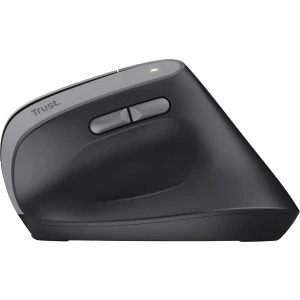Trust Bayo II, Wireless Ergonomic, Silent click, Reincarcabil USB-C, Black