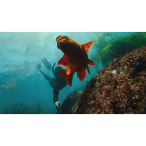 GoPro Extension Pole + Waterproof Shutter Remote pentru HERO11/12 Black