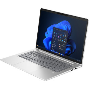 HP 14'' ProBook 4 G1i 14, WUXGA, Procesor Intel® Core™ Ultra 7 255U (12M Cache, up to 5.20 GHz), 24GB DDR5, 1TB SSD, Intel Graphics, Win 11 Pro, Silver