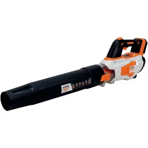 Ruris Suflanta pentru frunze cu acumulator 1224e, 20 V, viteza aer 40 m/s, volum maxim aer 570 m3/h, fara acumulator inclus