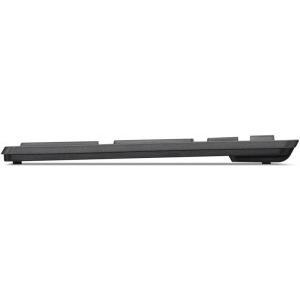 Lenovo Tastatura + Mouse Professional Ultraslim Combo, Wireless, Black