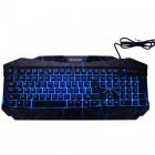 Newmen GL800