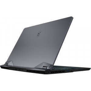 MSI Gaming 17.3'' GE76 Raider 10UH, FHD 300Hz, Procesor Intel® Core™ i9-10980HK (16M Cache, up to 5.30 GHz), 64GB DDR4, 2TB SSD, GeForce RTX 3080 16GB, No OS, Titanium