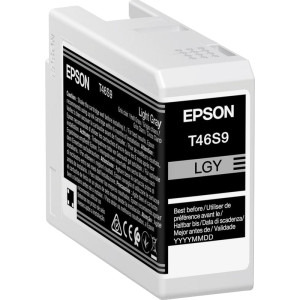 Epson Cartus T46S9 Light Grey