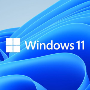 Microsoft Windows 11 Home, Advanced DirOEM