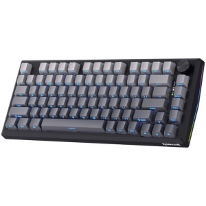 Redragon Penumbra Pro RGB TKL Black Lion L Switch Mecanica