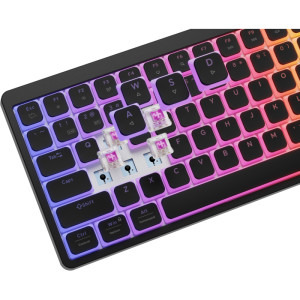 Genesis Thor 430 TKL Wireless RGB Black Silent Switch Mecanica