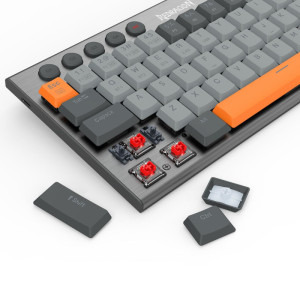 Redragon Horus SE Gri RGB Red Switch Mecanica