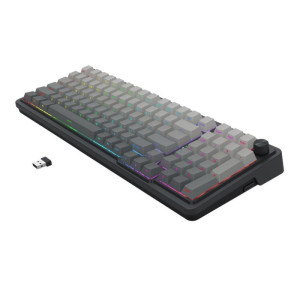 Redragon Eisa Pro Neagra RGB Switch-uri Leopard L  Mecanica