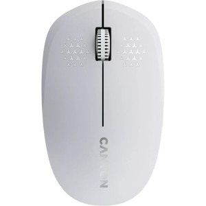 Mouse Canyon MW-04 White