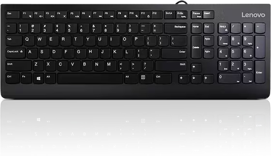 Tastatura Lenovo 300 Wired Black