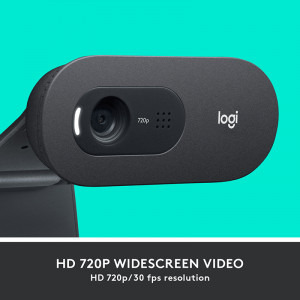 Logitech C505, HD, USB, Black