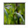 Ecran de proiectie Blackmount 1/1MN300-BM-ECRPER, 300 x 300 cm