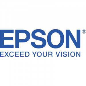 Epson Cartus T48ME Gray