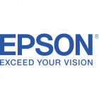 Epson Cartus T48ME Gray